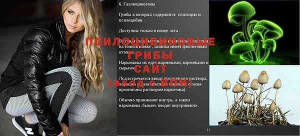 прущая мука Наволоки