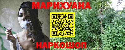 стаф Будённовск