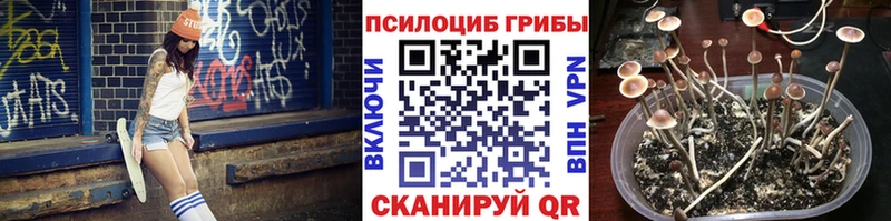 что такое наркотик  Воткинск  Псилоцибиновые грибы прущие грибы 