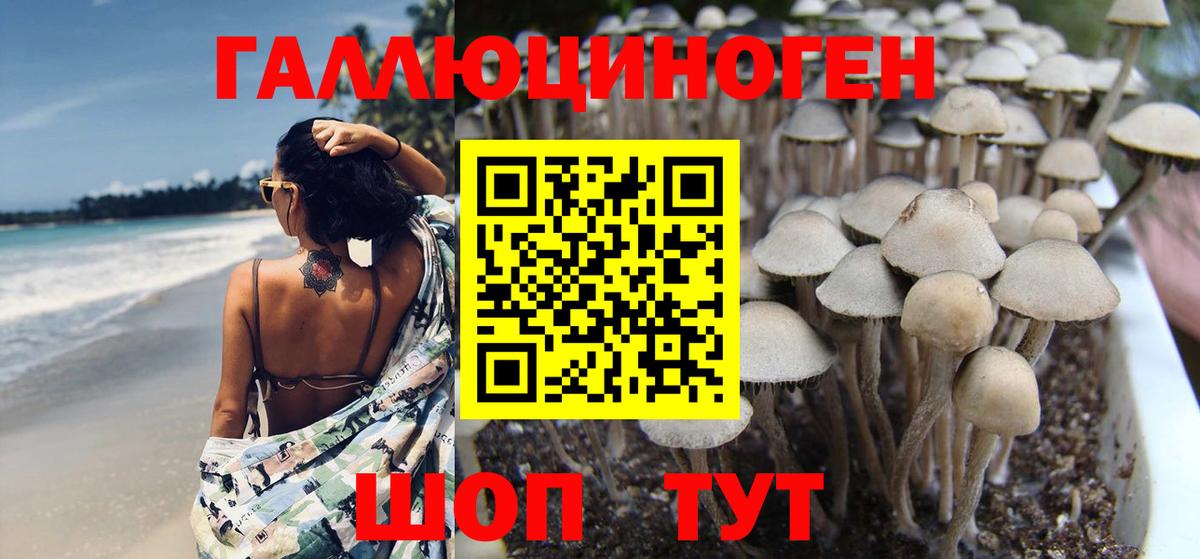 цена   Вход с VPN  Воткинск  Галлюциногенные грибы MAGIC MUSHROOMS 