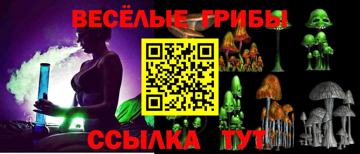 Галлюциногенные грибы Cubensis  Воткинск  Псилоцибиновые грибы MAGIC MUSHROOMS 